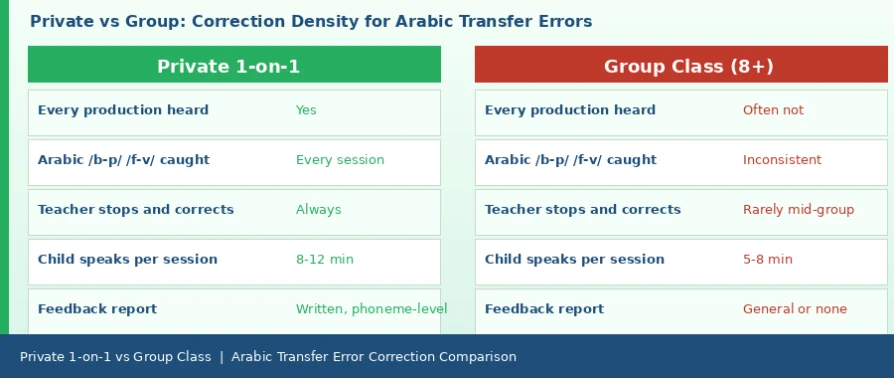 Comparing English Learning Platforms for Arab Children in America: Private Lessons, Teachers, Trial Experience, and Follow-Up
